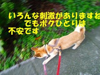 日常 957.jpg