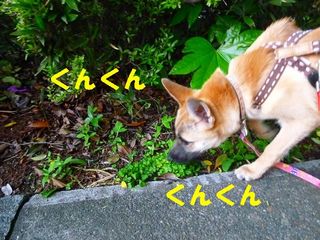 日常 958.jpg