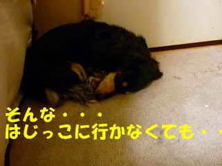 日常 960.jpg