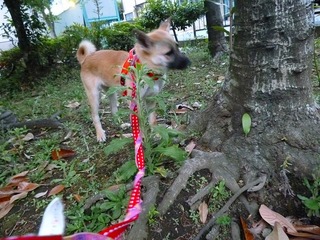 日常 974.jpg