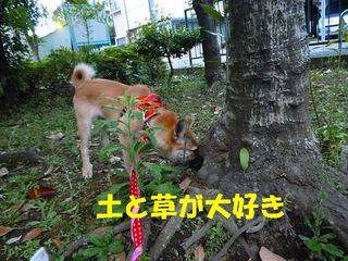 日常 976.jpg