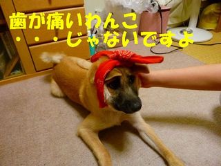 日常 986.jpg