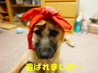 日常 988.jpg