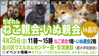 品川 いぬねこ親会.jpg