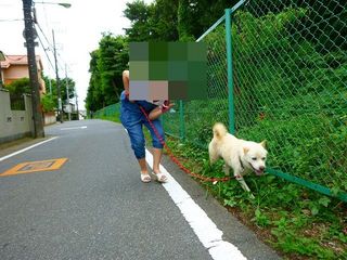 てつとお散歩.jpg