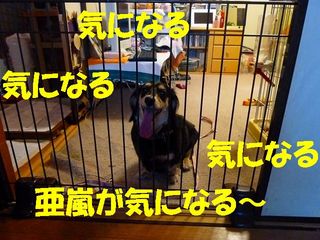日常 1842.jpg