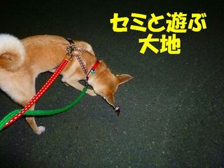 日常 1862.jpg